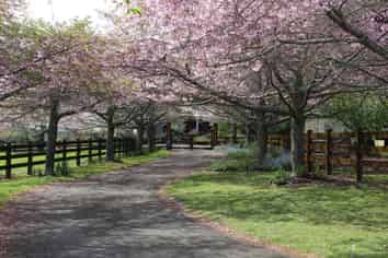713 Harrisville Road, Pukekohe