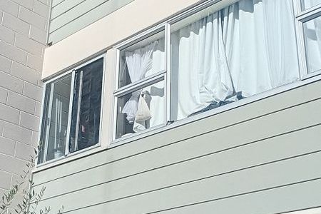Light-Filled Apartment Close to Ponsonby and CBD - Aanzicht 3