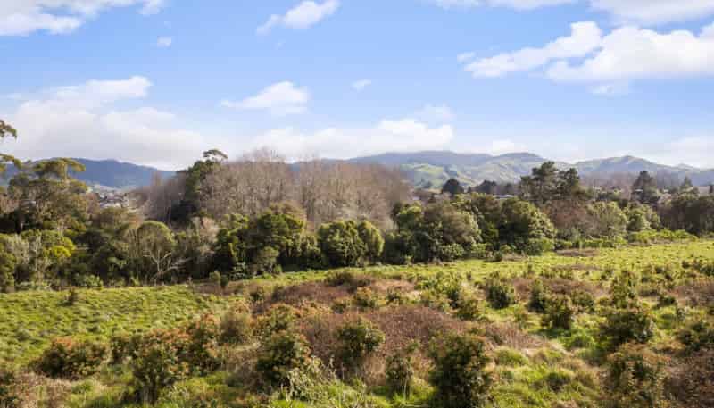 11 Heath Road, Waihi