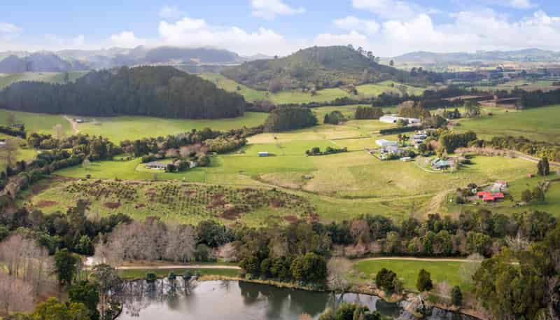 11 Heath Road, Waihi