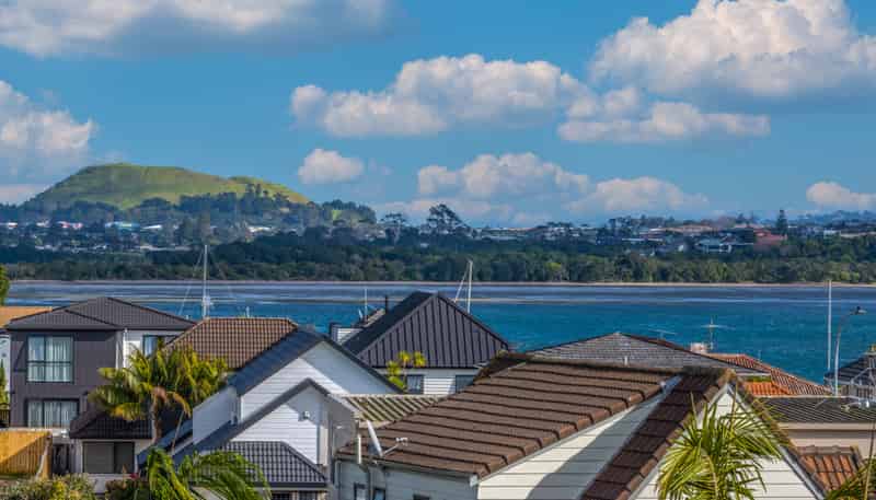1/2 Basilton Close, Bucklands Beach