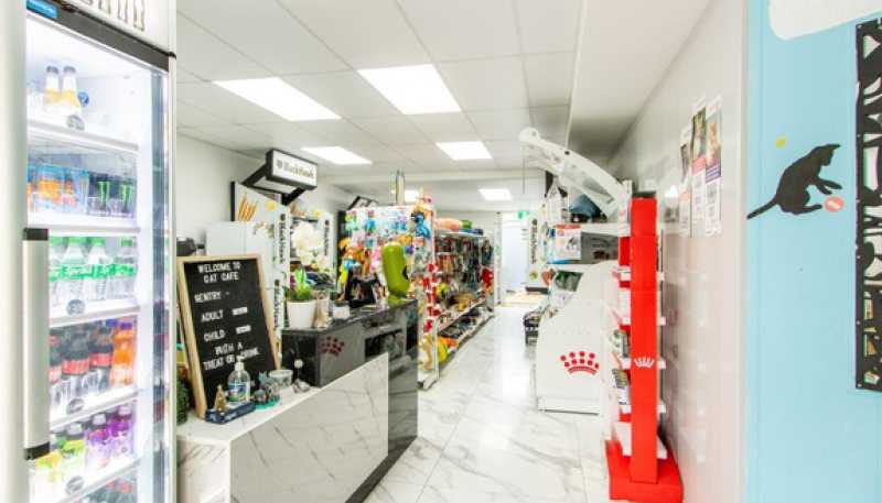 Shop 3/368 Beach Road, Mairangi Bay