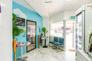 Prime Mairangi Bay Retail Opportunity