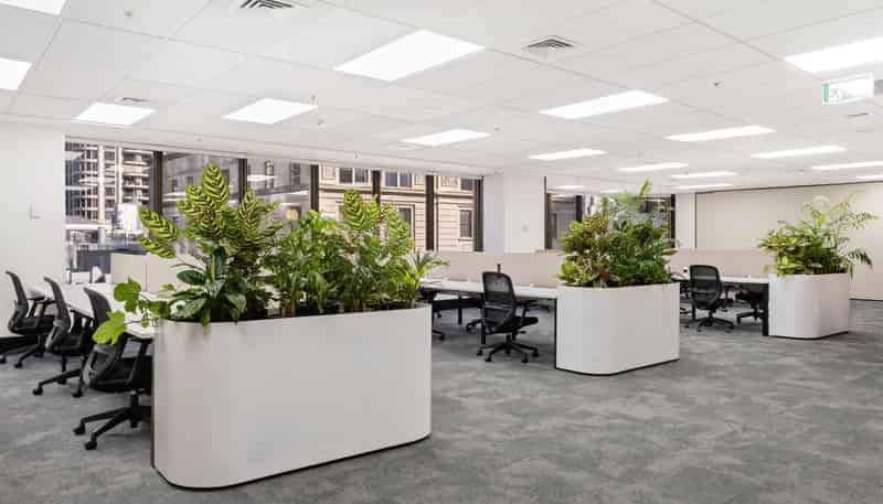 34 Shortland Street, Auckland Central