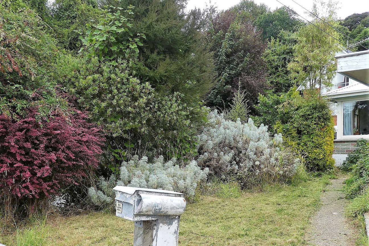 Charming Home in North Dunedin! - Fler
