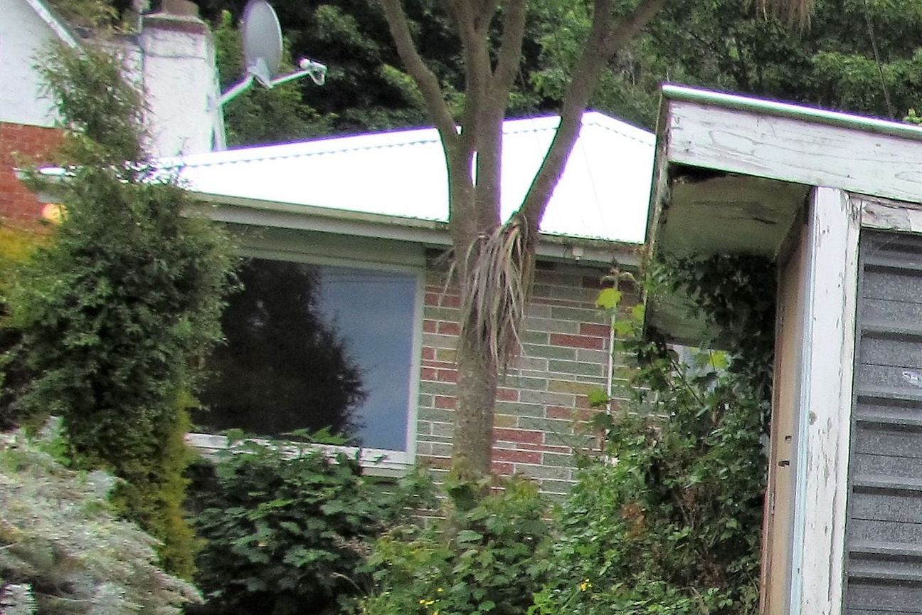 Charming Home in North Dunedin! - Bild 3