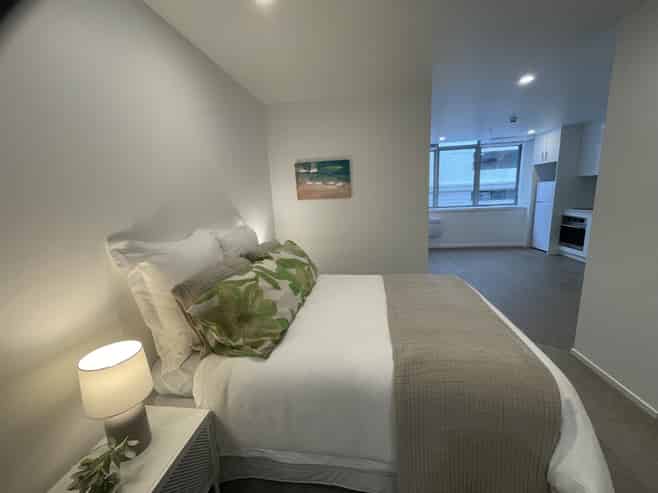 501/26 Waring Taylor Street, Wellington Central
