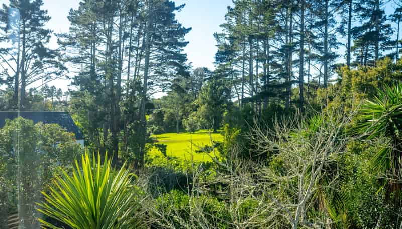 25 Rawalpindi Street, Mount Albert