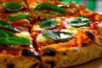 Mobile Pizza Business with $220k Earnings