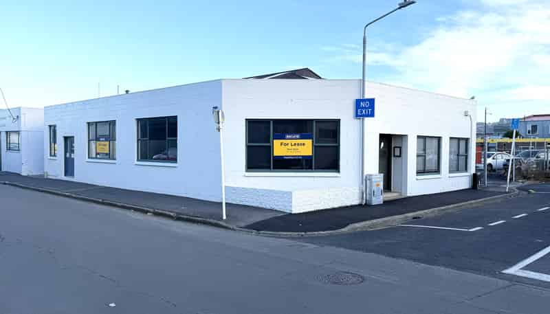 17 Lorne Street, South Dunedin