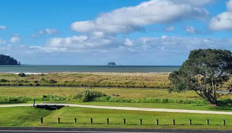 14B/71 Buffalo Beach Road, Whitianga