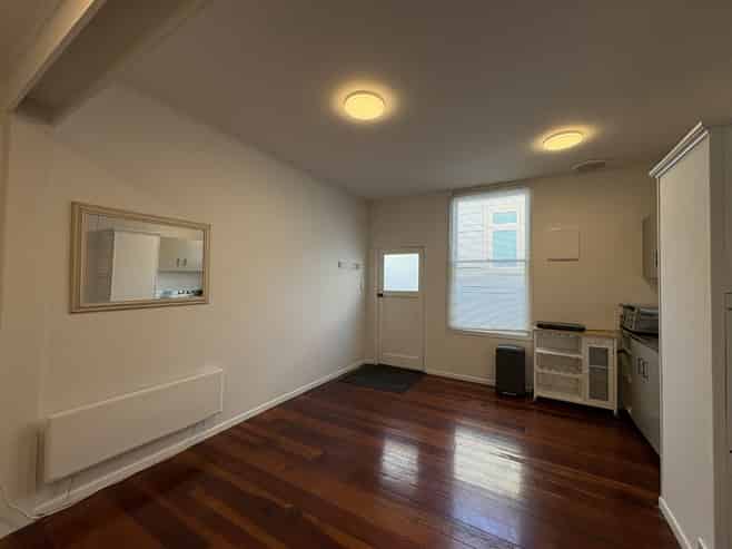 2/116 Williamson Avenue, Grey Lynn