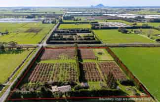 343 Western Drain Road, Edgecumbe