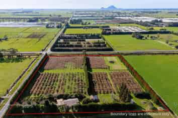 343 Western Drain Road, Edgecumbe