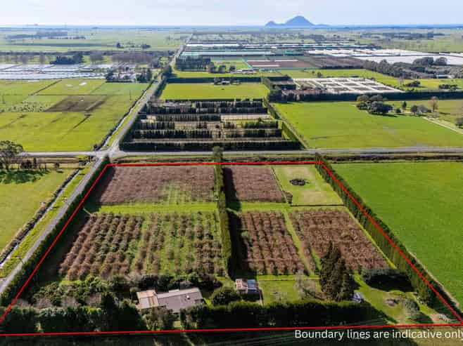 343 Western Drain Road, Edgecumbe