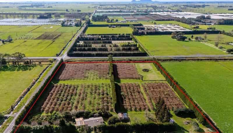 343 Western Drain Road, Edgecumbe