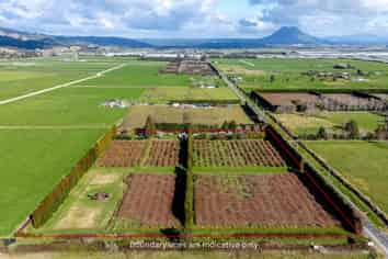 343 Western Drain Road, Edgecumbe