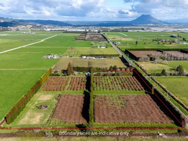 343 Western Drain Road, Edgecumbe