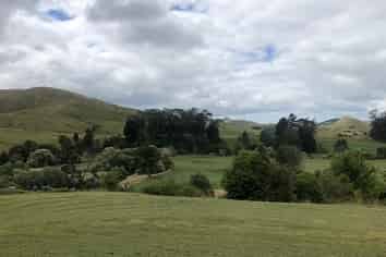 Gisborne - Address withheld