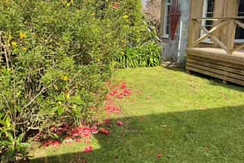 Waikato - Address withheld