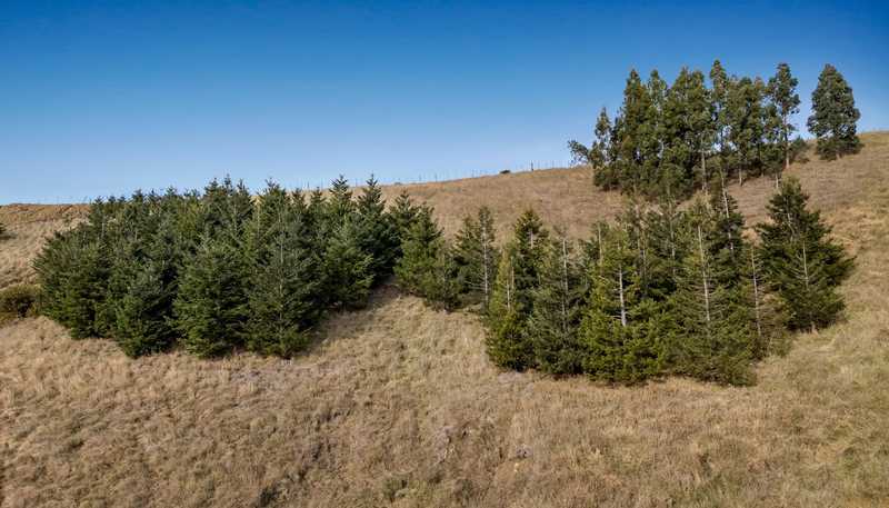 38 Valley Road, Greta Valley