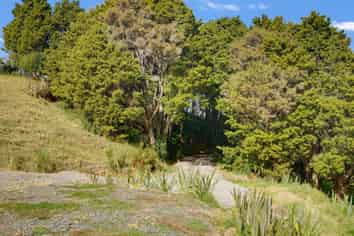 803 Golden Stairs, Maungaturoto