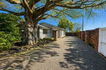 167 Wairakei Road, Bryndwr