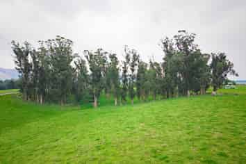 Lot 2, Horseshoe Bend Road, Otaio