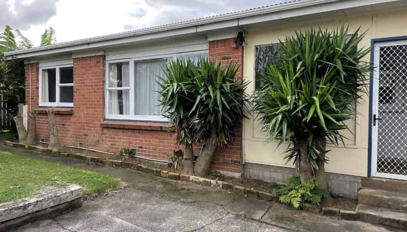 2/51  Tripoli Road, Panmure