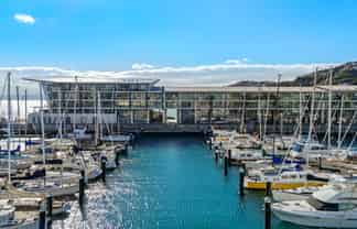 3C/1 Clyde Quay Wharf, Te Aro