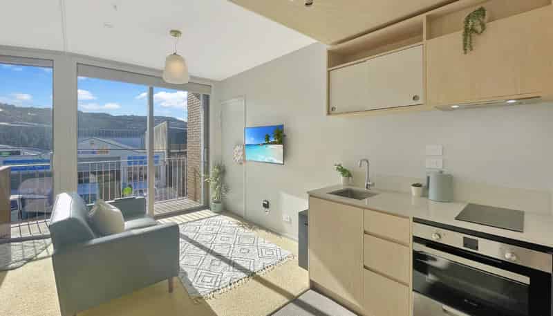 106/2 Campbell Terrace, Petone