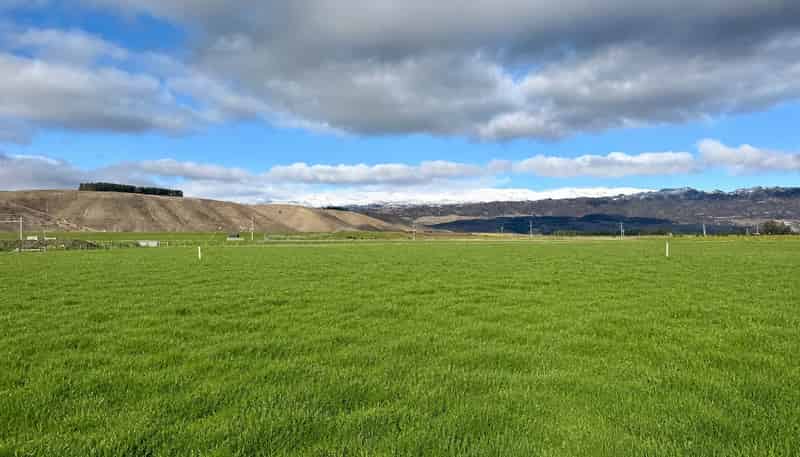  Oliver Road, Cromwell