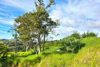 lot 2/ Koutu Loop Road, Opononi