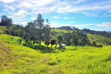lot 2/ Koutu Loop Road, Opononi