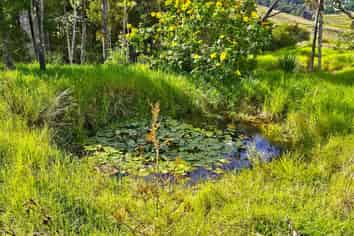 lot 2/ Koutu Loop Road, Opononi