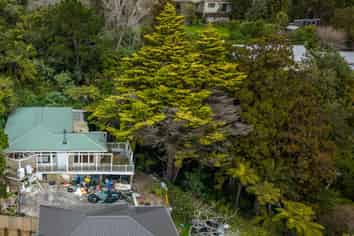 3 Rangeview Road, Sunnyvale