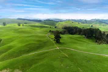 494B Dods Road, Waikite Valley