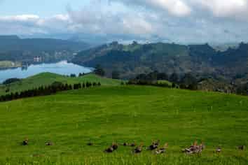494B Dods Road, Waikite Valley