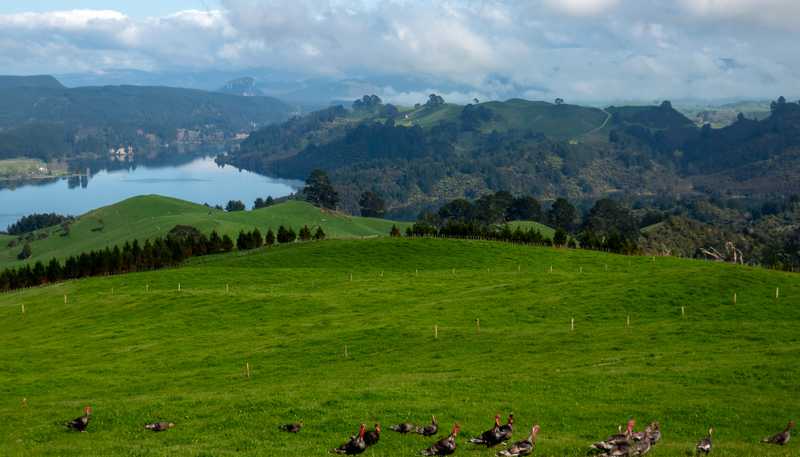 494B Dods Road, Waikite Valley