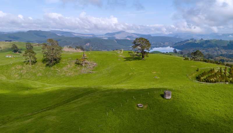 494B Dods Road, Waikite Valley