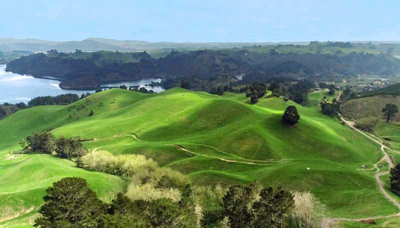 494B Dods Road, Waikite Valley