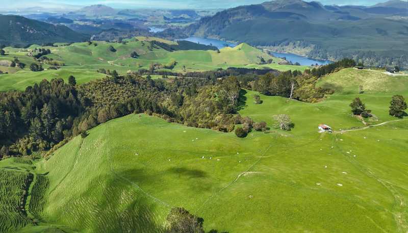 494B Dods Road, Waikite Valley