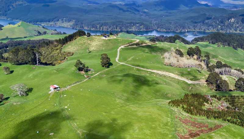494B Dods Road, Waikite Valley