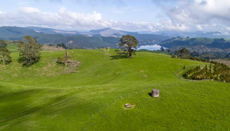 494B Dods Road, Waikite Valley