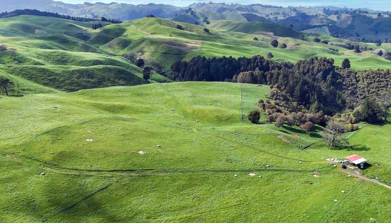 494B Dods Road, Waikite Valley