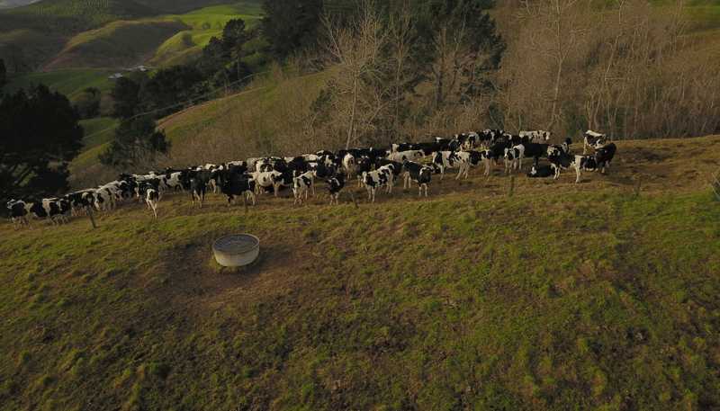 494B Dods Road, Waikite Valley