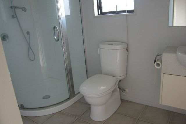 RICCARTON- 4 BEDROOM + STUDY, 2 BATHROOM, 2 HEAT PUMPS, GARAGE - Meer