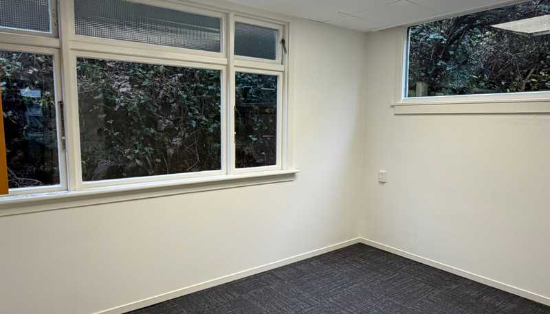 469 George Street, North Dunedin