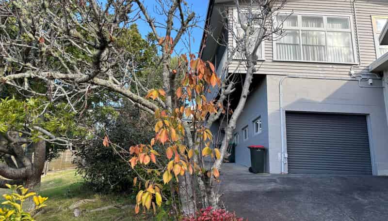 19A Glover Road, Saint Heliers