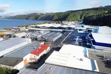 Showroom or Office in central Petone 